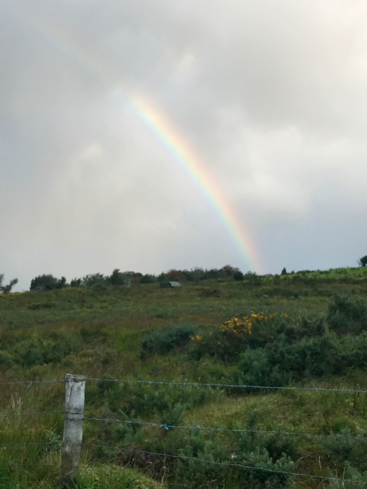 A rainbow on the drive to Cork